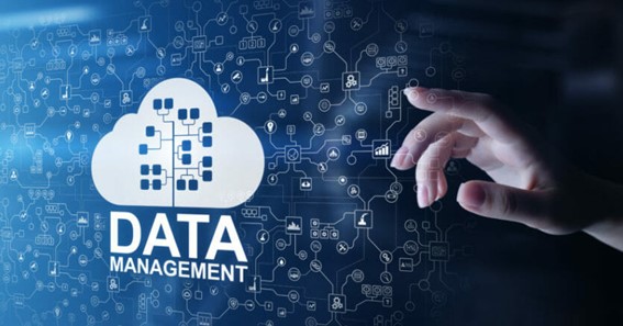 Tips for Optimizing Your Data Management Strategies