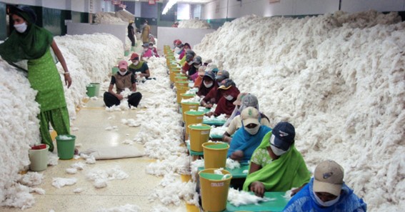 What Is Cotton Textile Industry